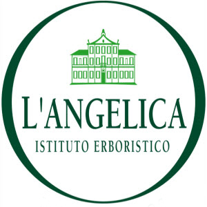 L'ANGELICA