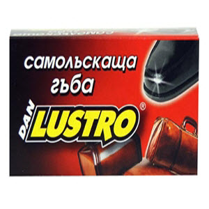 Лустро гъба